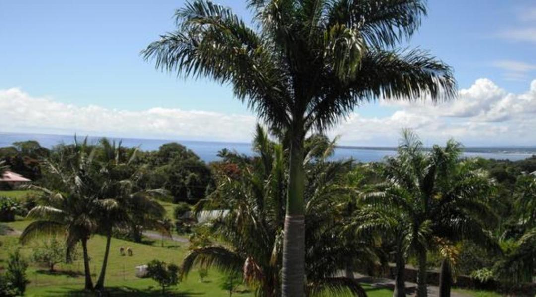 Island Goode'S - Luxury Adult Only Accommodation Near Hilo Papaikou Exterior photo